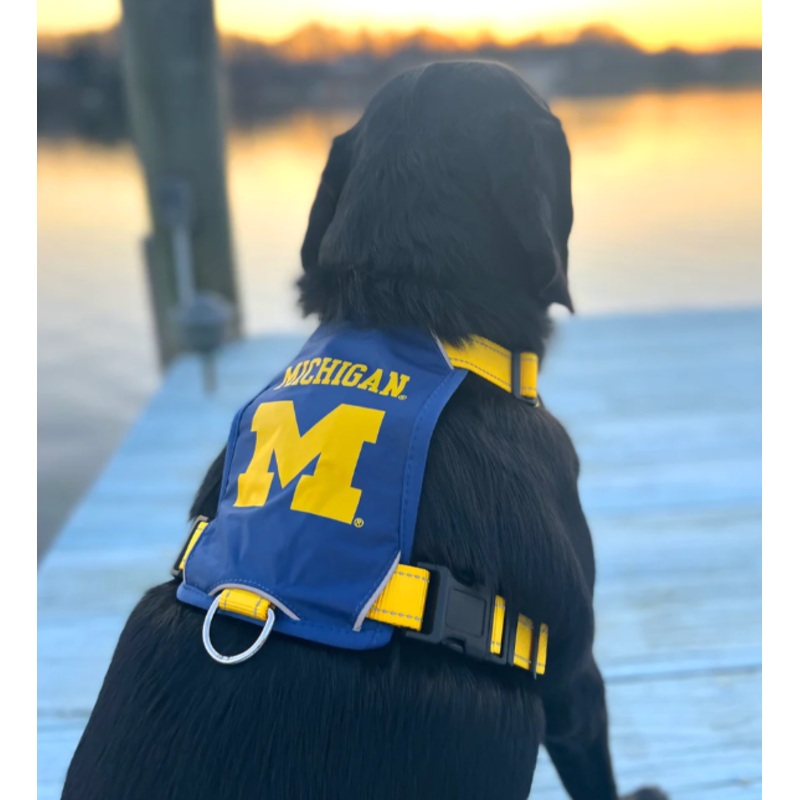 BayDog Harness Michigan MD