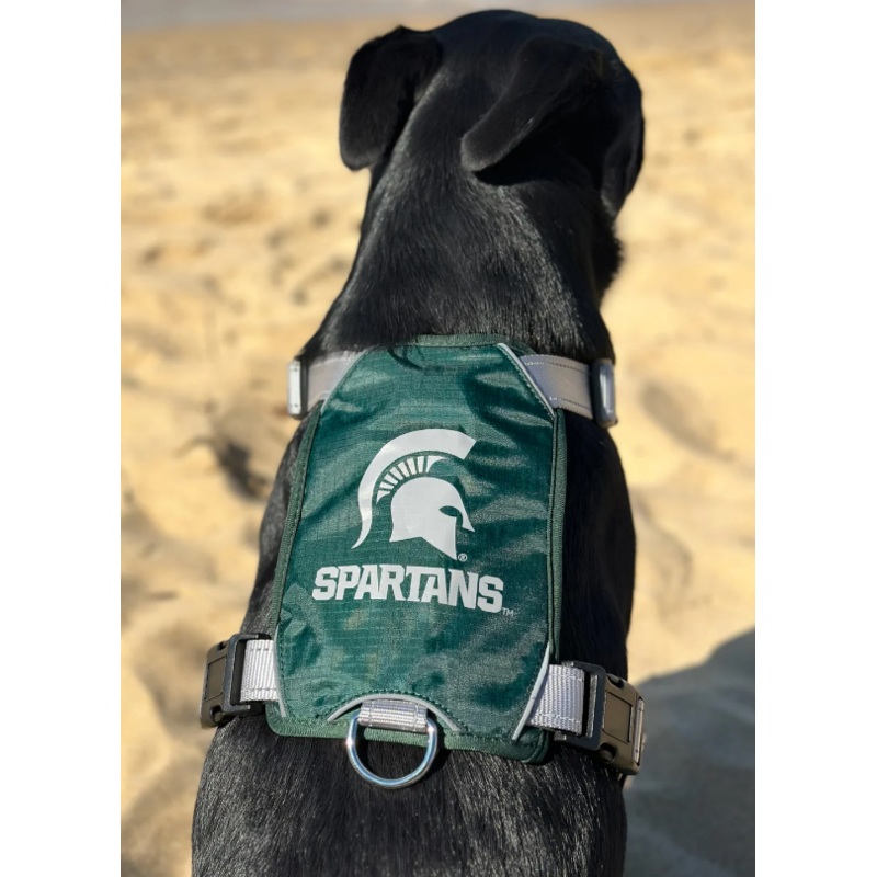 BayDog Harness Michigan State MD