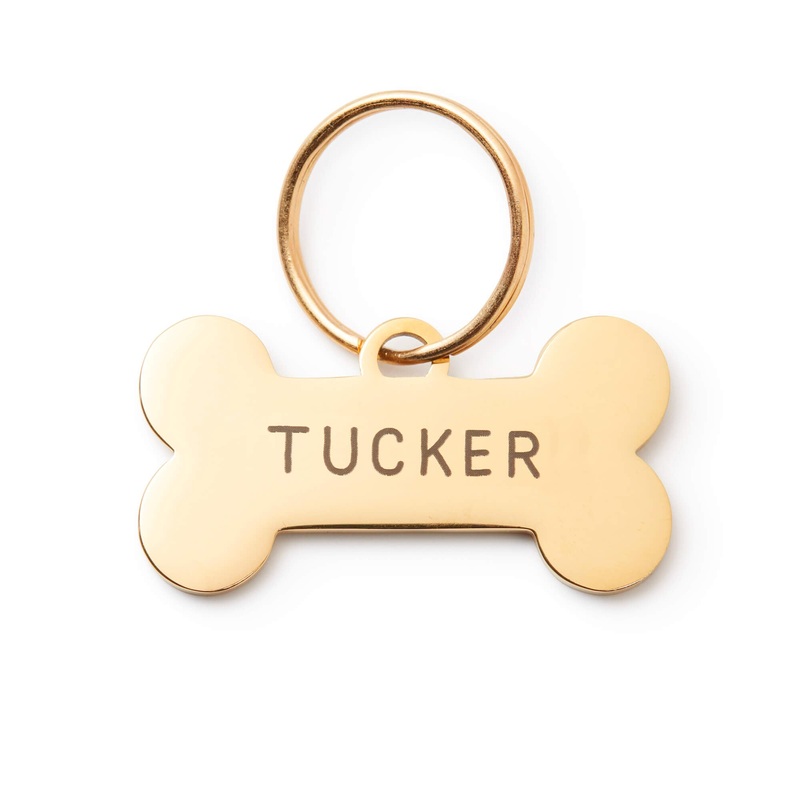 Bone Pet ID Tag|M|L|ID Tag Only|ID Tag + Pet Tag Keeper