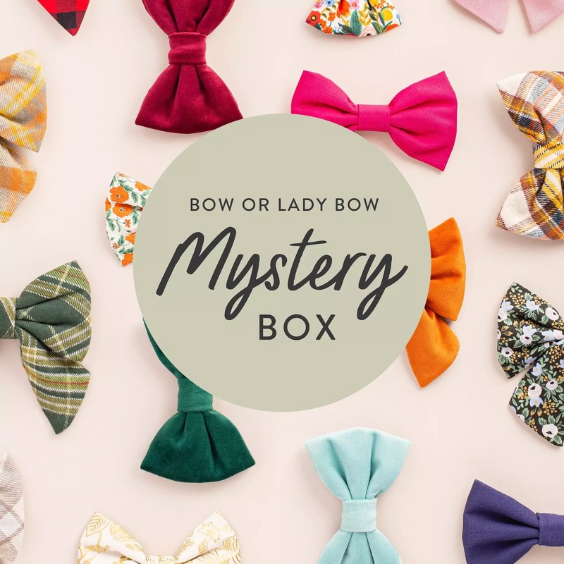 Bow Mystery Box|Bow Tie|Lady Bow|Small|Large