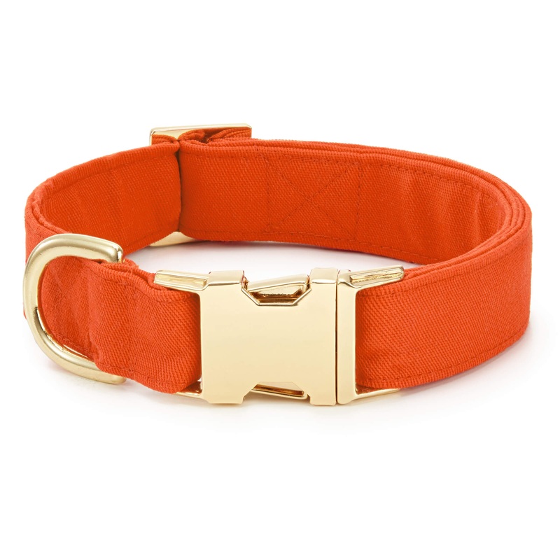 Cider Dog Collar|XS|S|M|L
