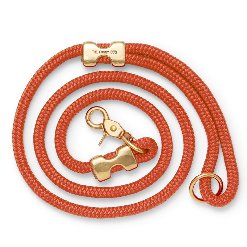 Cider Marine Rope Dog Leash|Standard 5ft|Petite 5ft