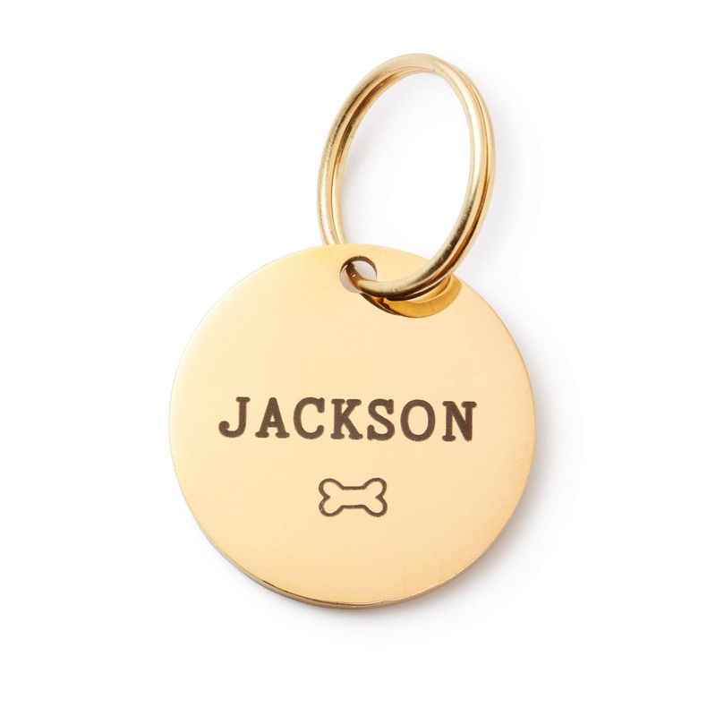 Circle Pet ID Tag: Bone Icon|S|M|L|ID Tag Only|ID Tag + Pet Tag Keeper