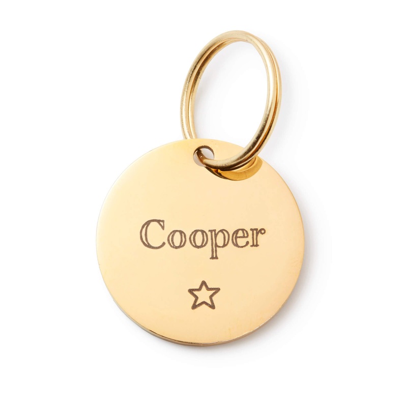 Circle Pet ID Tag: Star Icon|S|M|L|ID Tag Only|ID Tag + Pet Tag Keeper