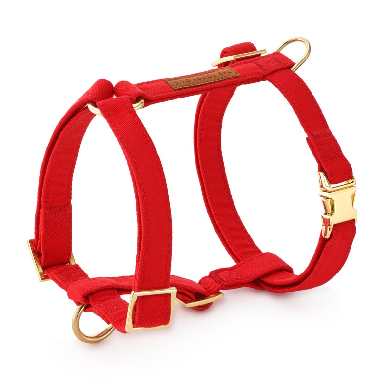 Ruby Dog Harness|XS|S|M|L