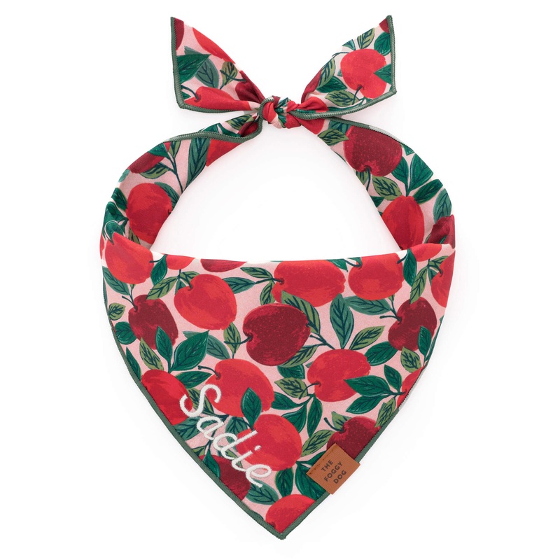 Apple of My Eye Dog Bandana|S – up to 13|M – up to 18|L – up to 26