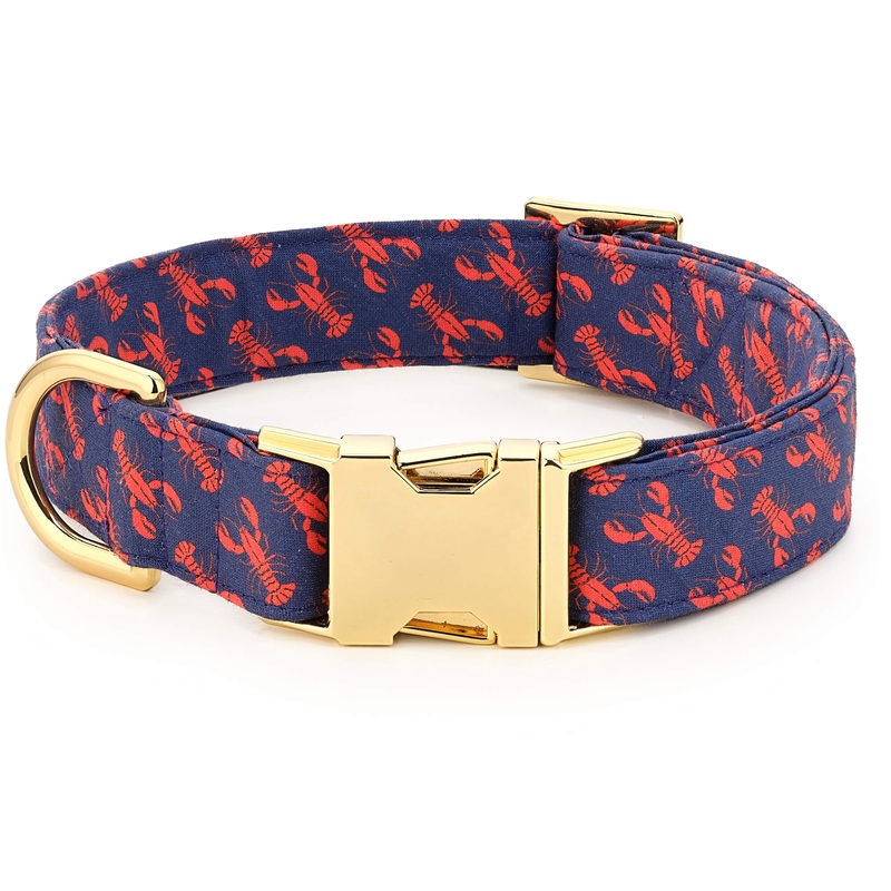 Catch of the Day Dog Collar|XS|S|M|L