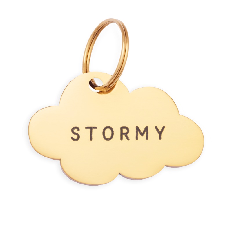 Cloud Pet ID Tag|S|M|L|ID Tag Only|ID Tag + Pet Tag Keeper
