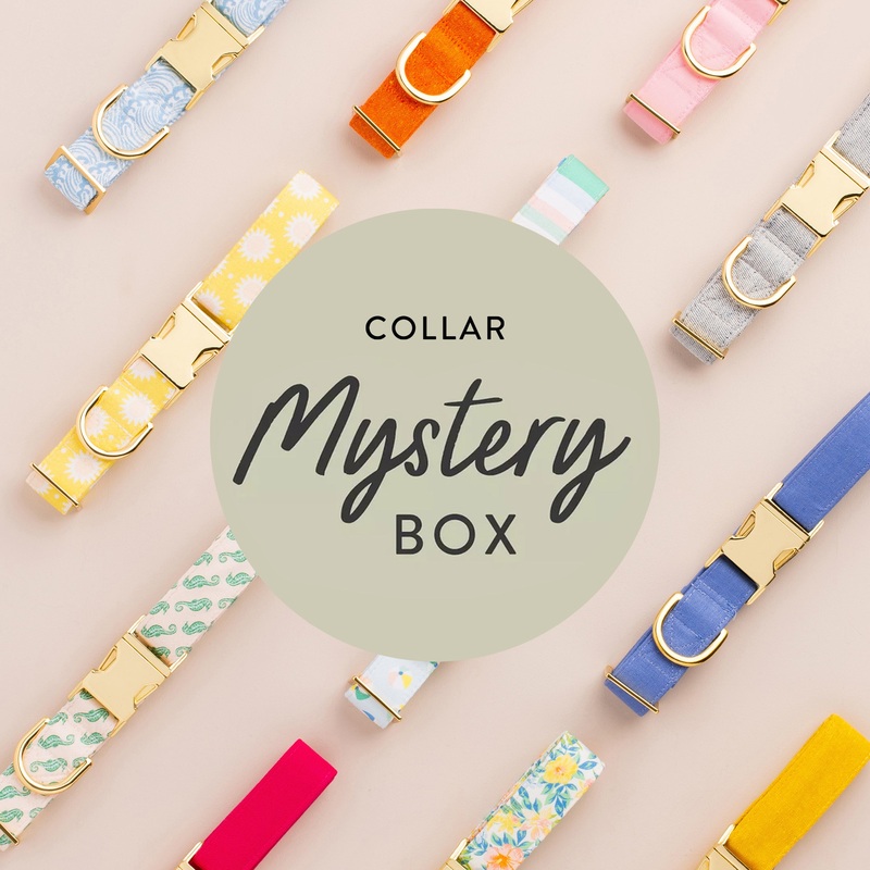 Collar Mystery Box|XS|S|M|L