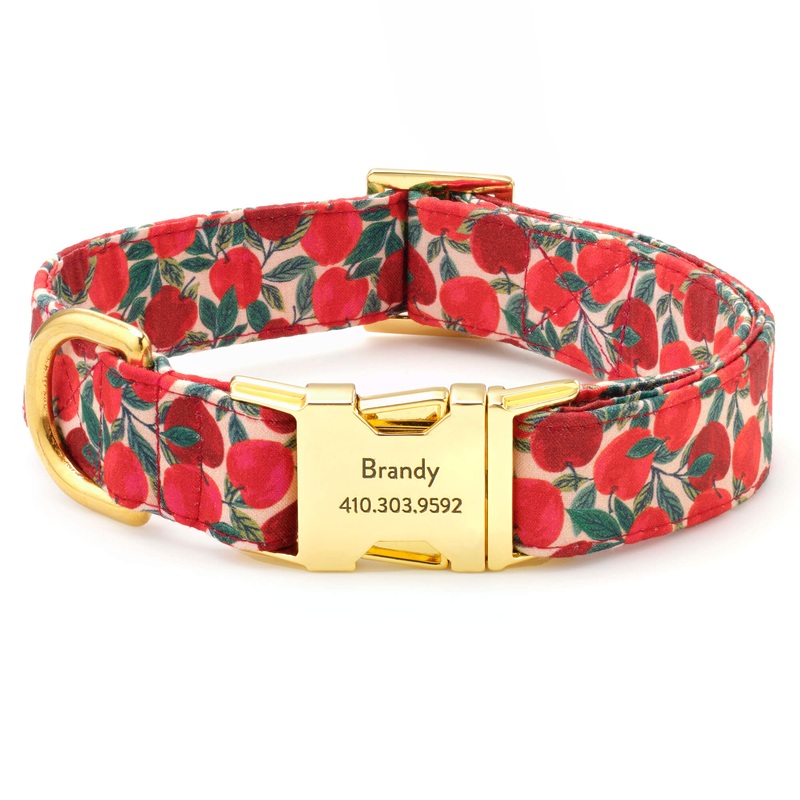 Apple of My Eye Dog Collar|XS|S|M|L
