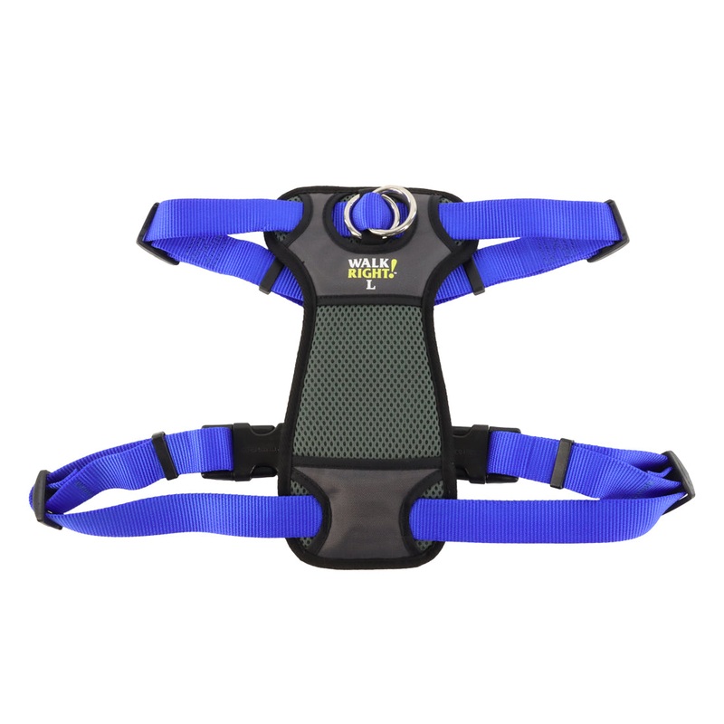 Front-Connect Harness for Dogs (Blue)