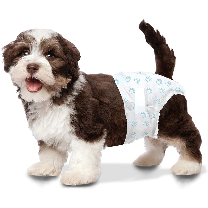 Wee-Wee Disposable Diapers|XSmall|Small|Medium|Large/XLarge