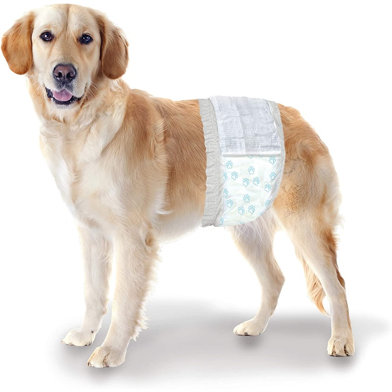 Wee-Wee Disposable Male Dog Wraps