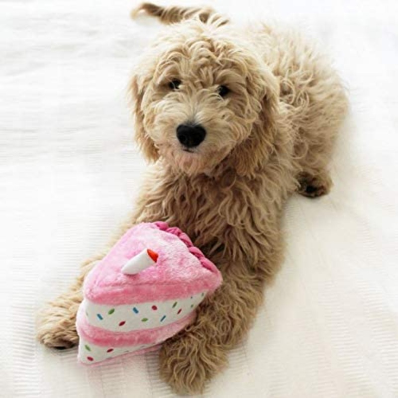 ZippyPaws – Birthday Cake Squeaky Dog Toy