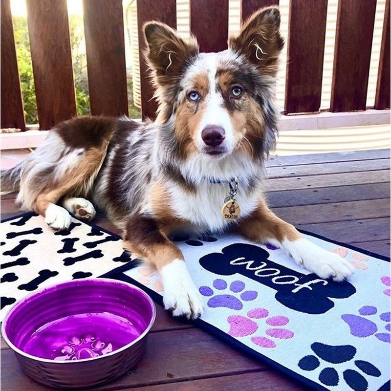 Woof with Multi Paws Fashion Mat