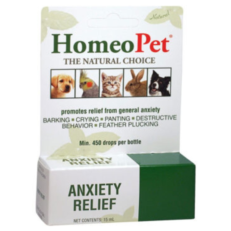 Anxiety Relief for Pets