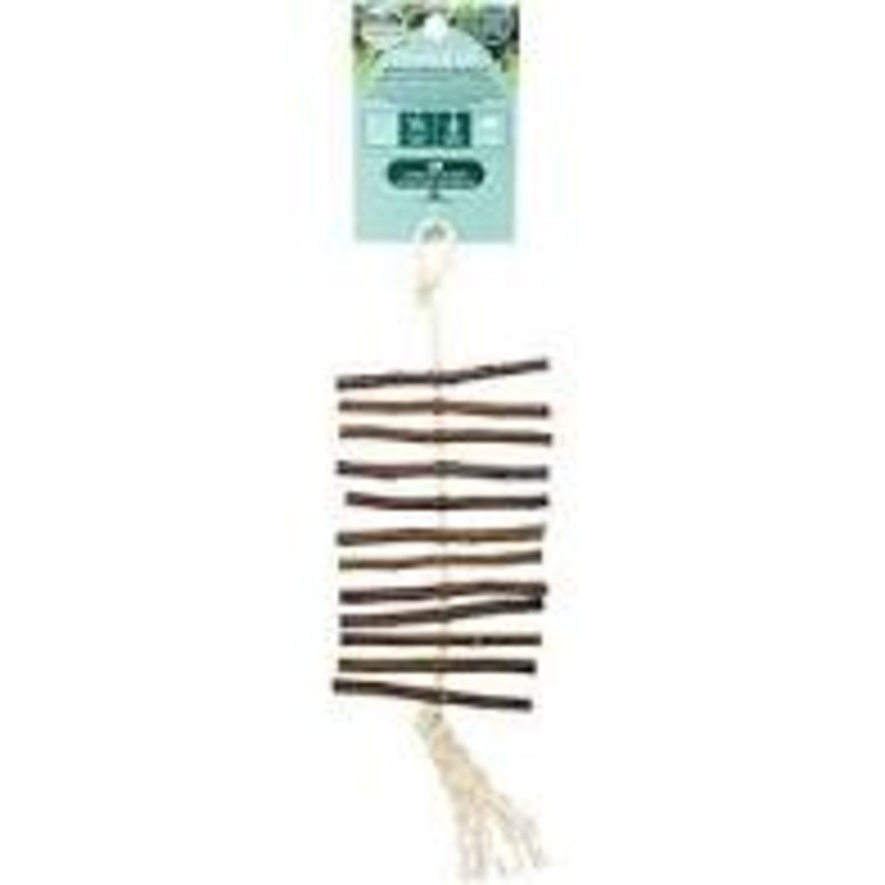 Apple Stick Dangly Treat for Small Animals