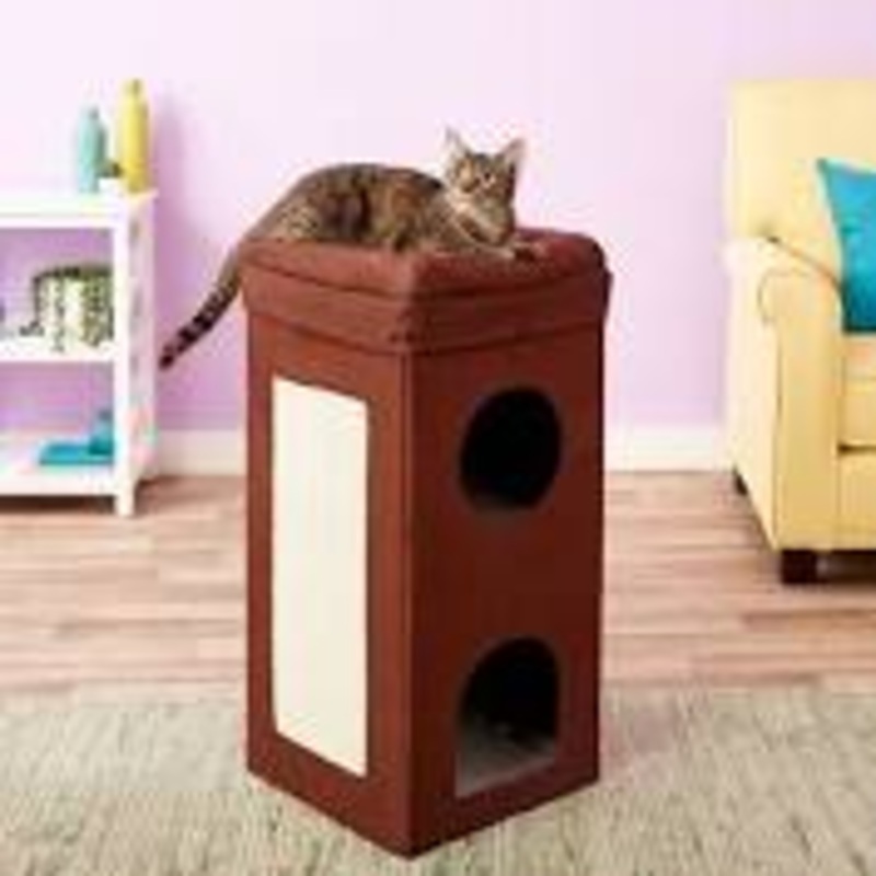 Cat Condo Curious Cube