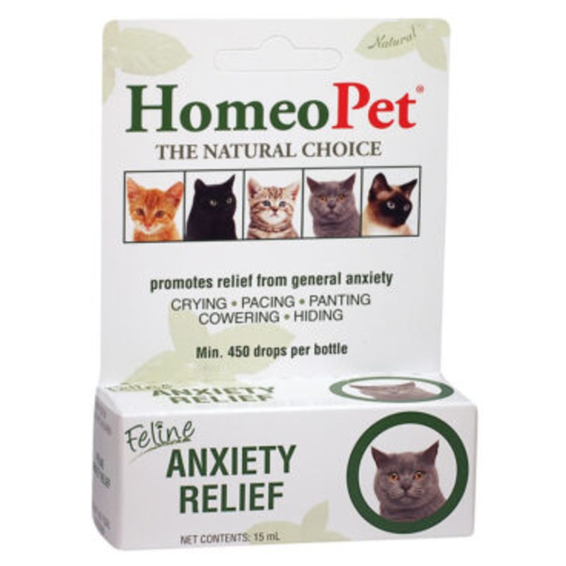 Anxiety Relief for Cats