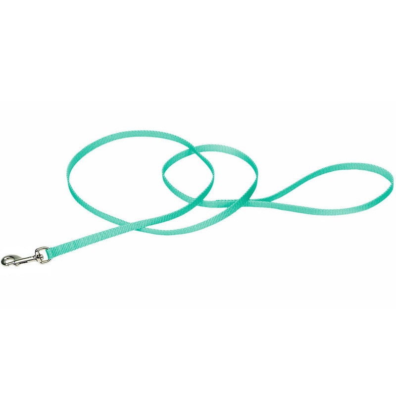 Coastal Single-Ply Leash, Teal