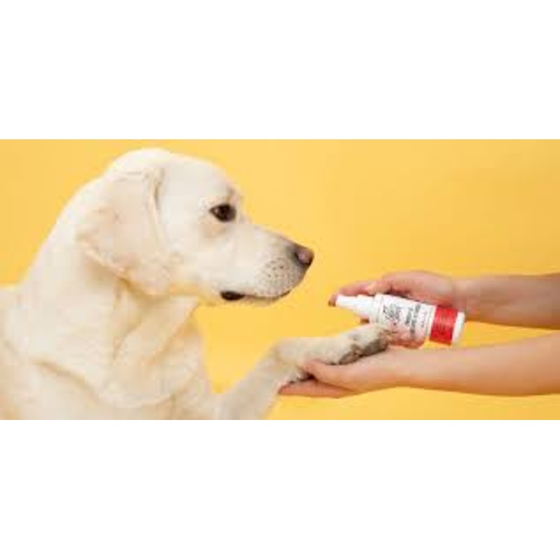Probiotic Hot Spot Hydrogel for Dogs & Cats by Skout’s Honor