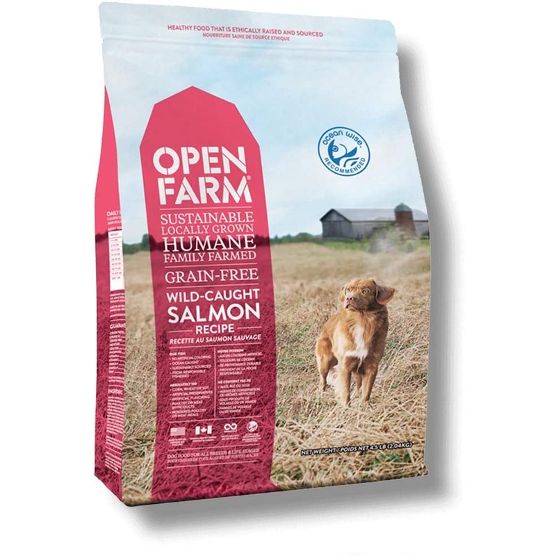 Wild-Caught Salmon Dog Kibble by Open Farm