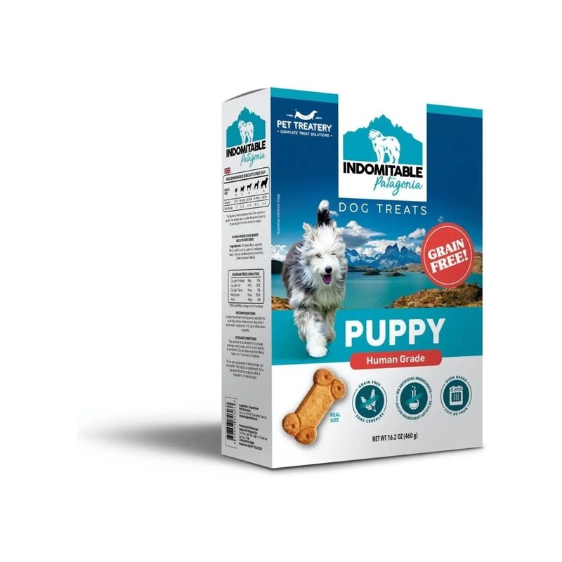 Pet Treatery Indomitable Puppy Grain Free Everyday Biscuits for Dogs 16.2 oz./460 gm