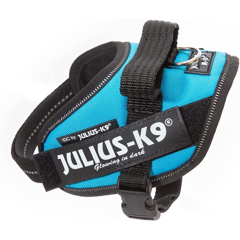 Power Harness for Dogs – Aquamarine