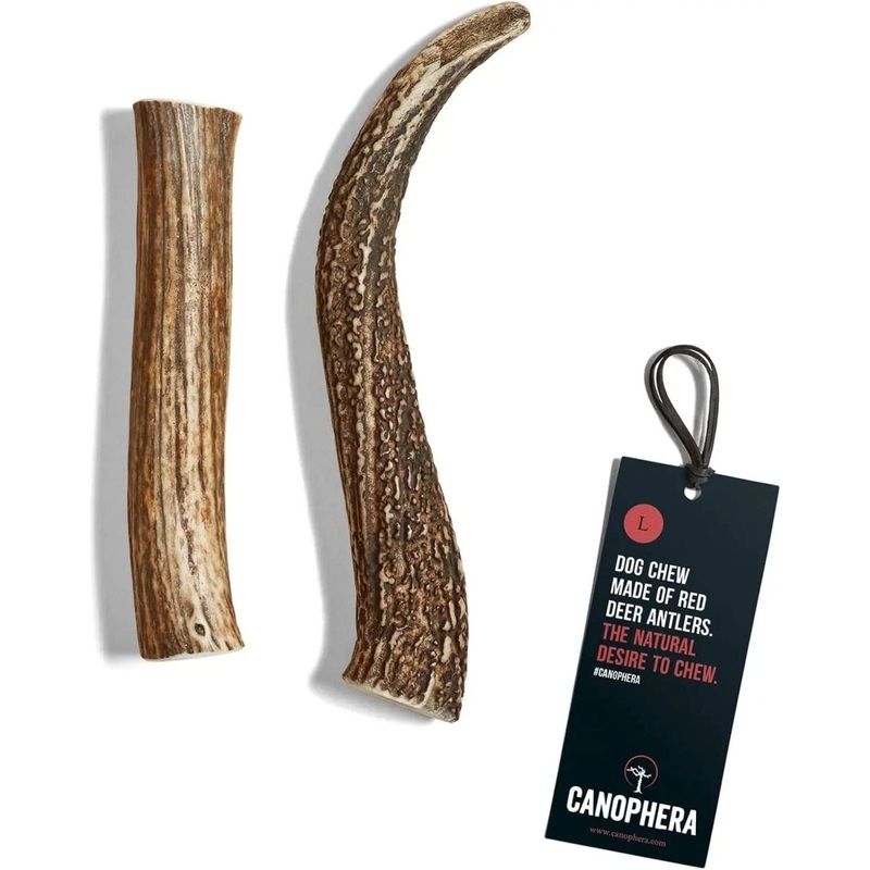 Canophera Whole Red Deer Antler Dog Chew