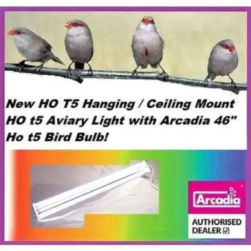 46 T5 HO Fixture HO with NEW HO t5 Arcadia Bird bulb INCLUDED