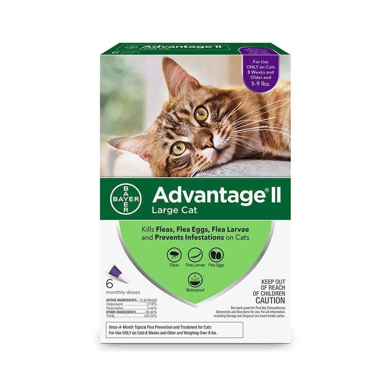 Advantage II Flea Treatment for Large Cat 6 Dose
