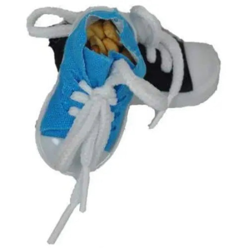 AE Cage Company Happy Beaks Shoe Appetite Bird Toy
