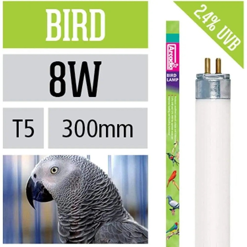 Arcadia 8w 12 Mini Bird Bulb / Replacement Bulb