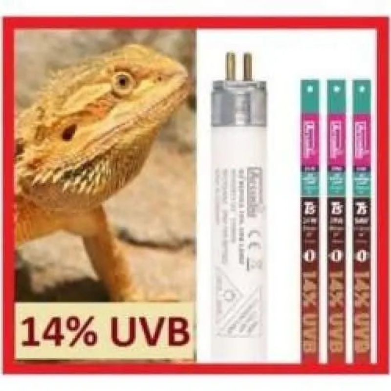 Arcadia D3+ High Output HO T5 Fluorescent Lamp 14% UVB Bulb Dragon Lamp Reptile Light
