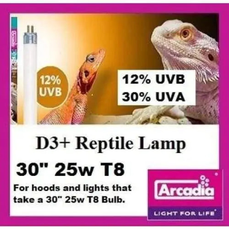 Arcadia T8 12% D3+ Reptile Lamp 30 25 watt **New ODD size for Exo Terra Hoods