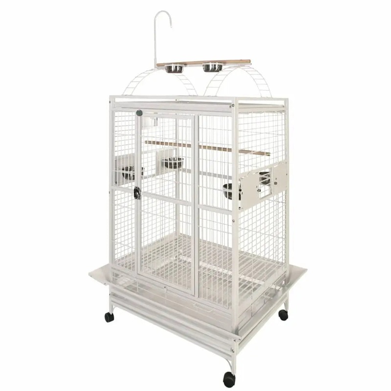 A & E Cages Play Top Bar Spacing: 1Bird Cage 36x28x66