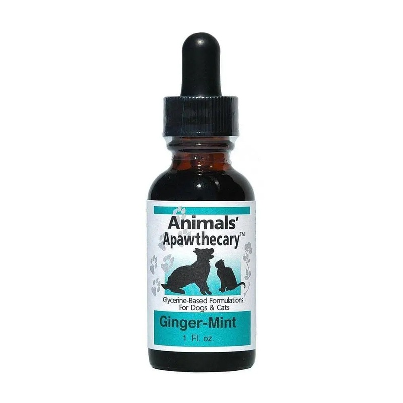 Animal Essentials Ginger/Mint Daily Digestion for Cat & Dog 1 Oz