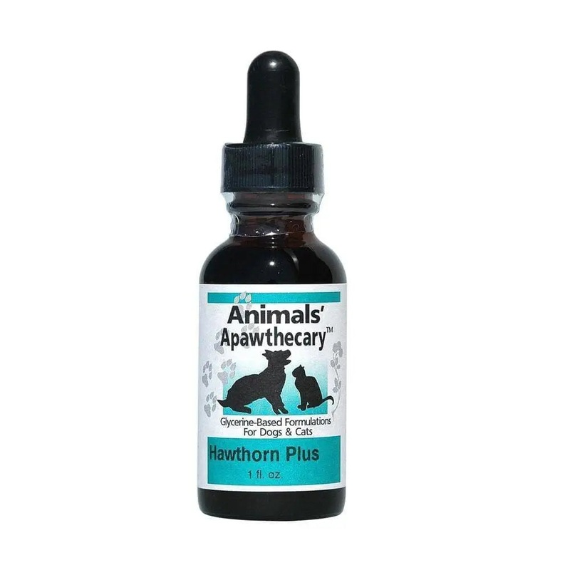 Animal Essentials Heart Health Cardiovascular Support for Cat & Dog 1 Oz