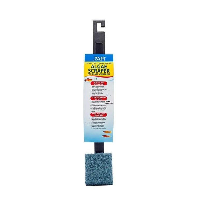 API Algae Scraper for Glass Aquariums 1 Scraper