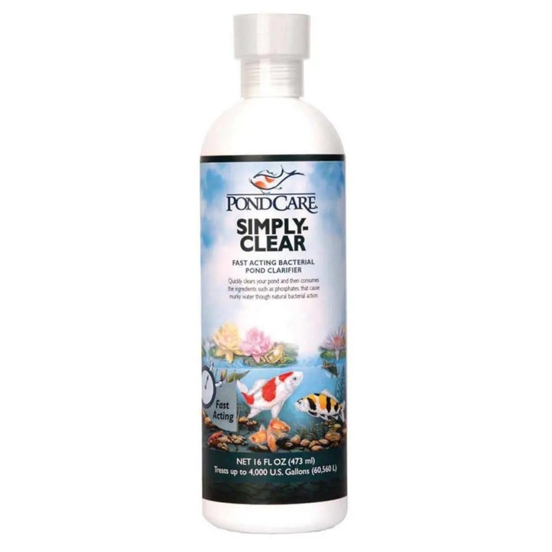 API Pond Simply Clear Bacterial Cleaner 1ea/16 Fl. oz