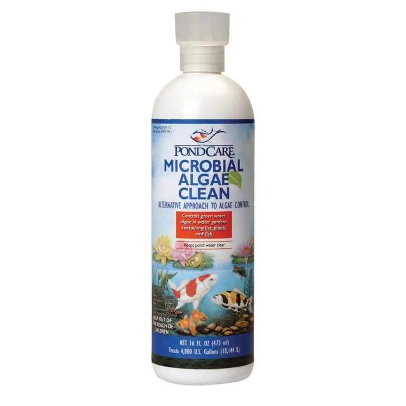 API PondCare Microbial Algae Clean 1ea/16 Fl. oz