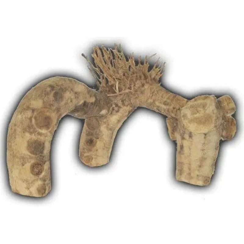 Small Spider Root Aquarium Terrarium Decoration