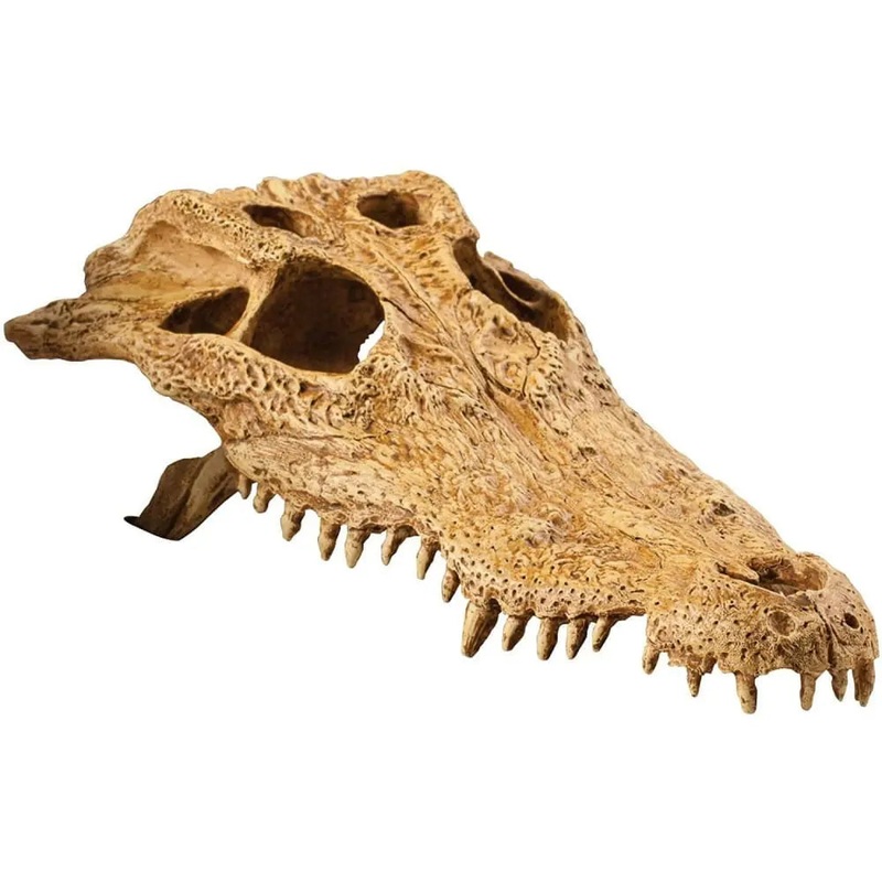 Exo Terra Terrarium Crocodile Skull Decoration