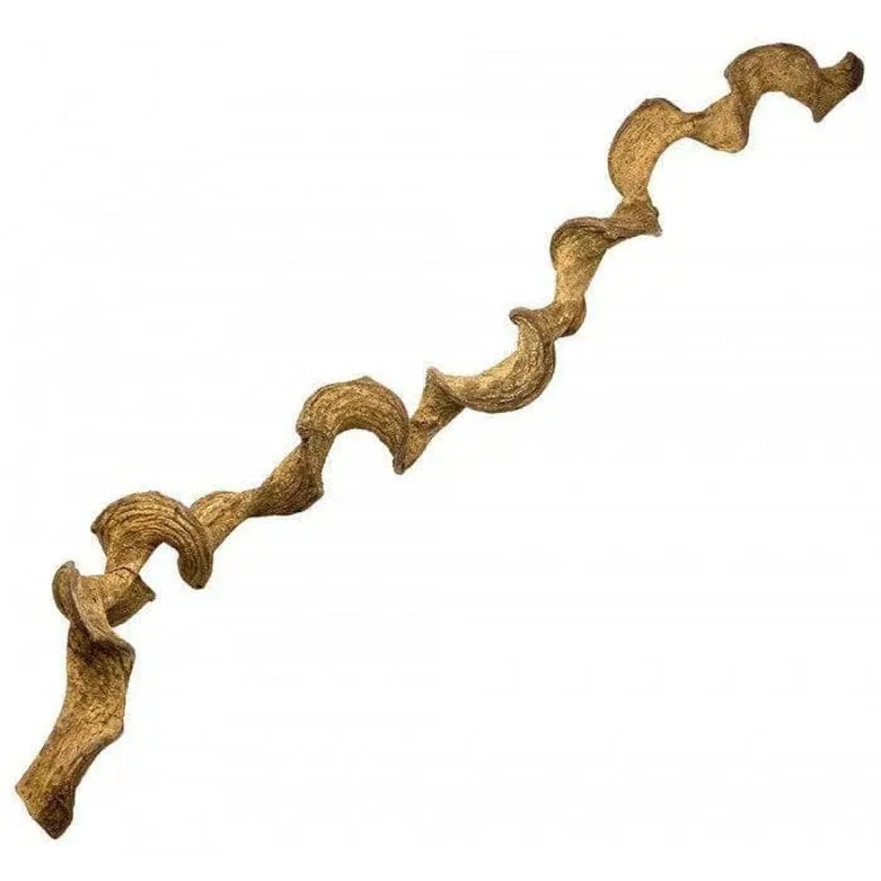 Lugartis Dragon Wood|Small|Medium|Large|XLarge