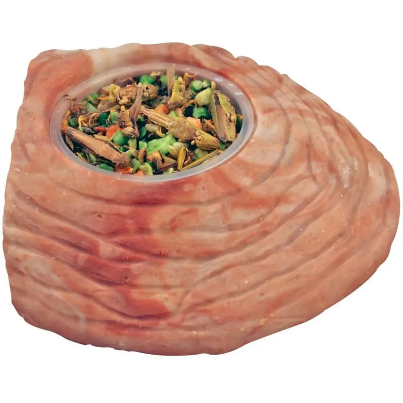 Healthy Herp Stepping Stone Feeding Dish – LG