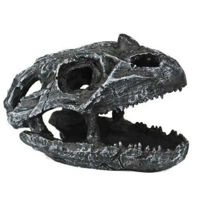 Pangea Dinosaur Skull Cave