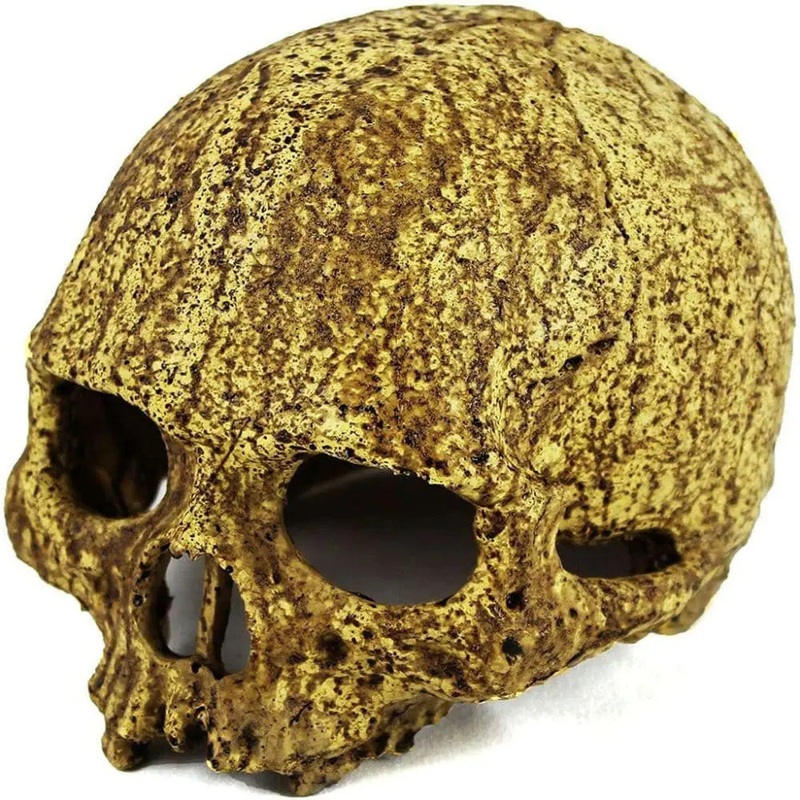 Pangea Human Skull Cave