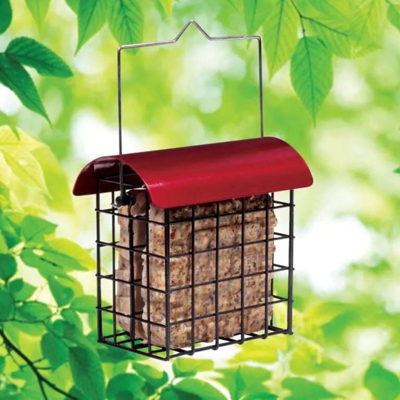 Crimson Double Bird Suet Feeder