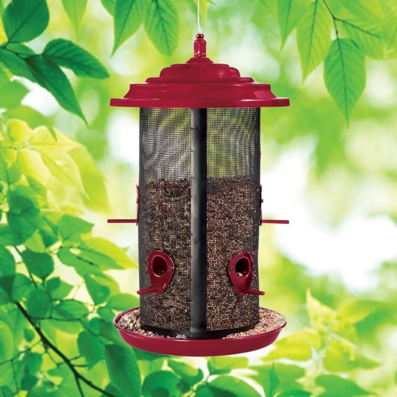 Crimson Extra-Large Twin Feeder