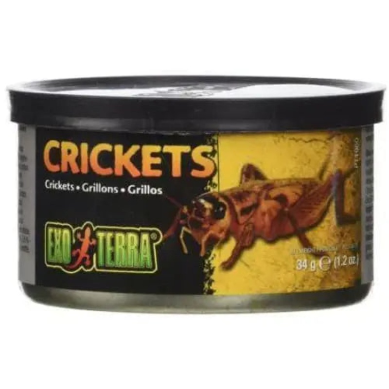 Exo Terra Canned Crickets Specialty Reptile Food